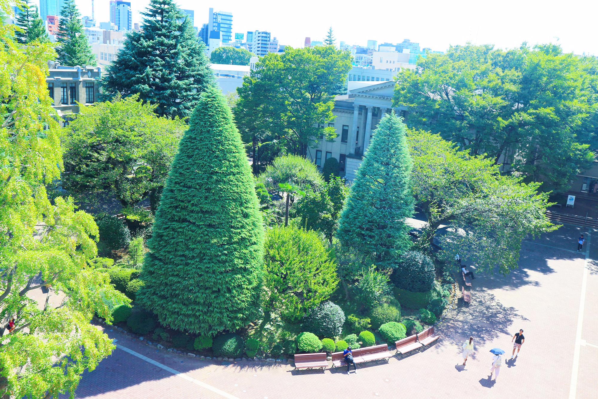 青山学院大学 赤本 全学部日程 個別学部日程 経営学部 青山学院大学（経営学部－個別学部日程） (2025年版大学赤本