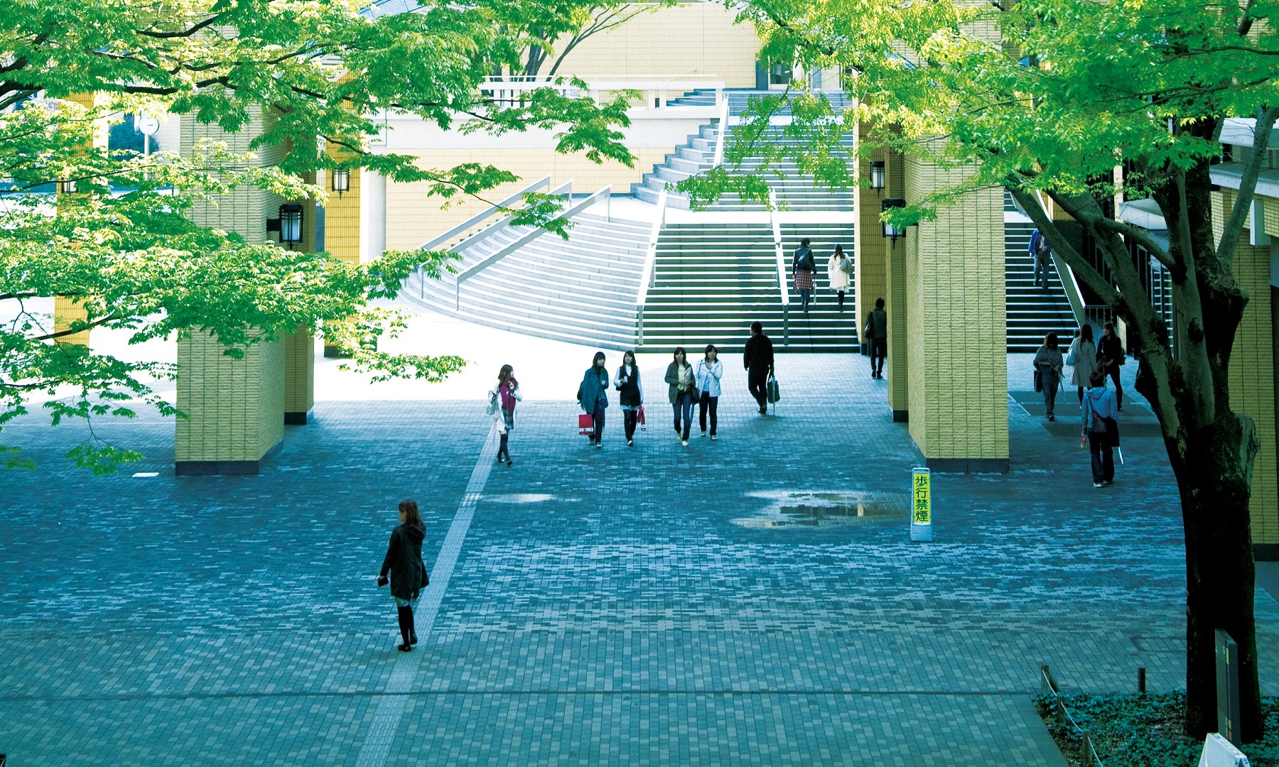 青山学院大学 赤本 全学部日程 2025 - メルカリ