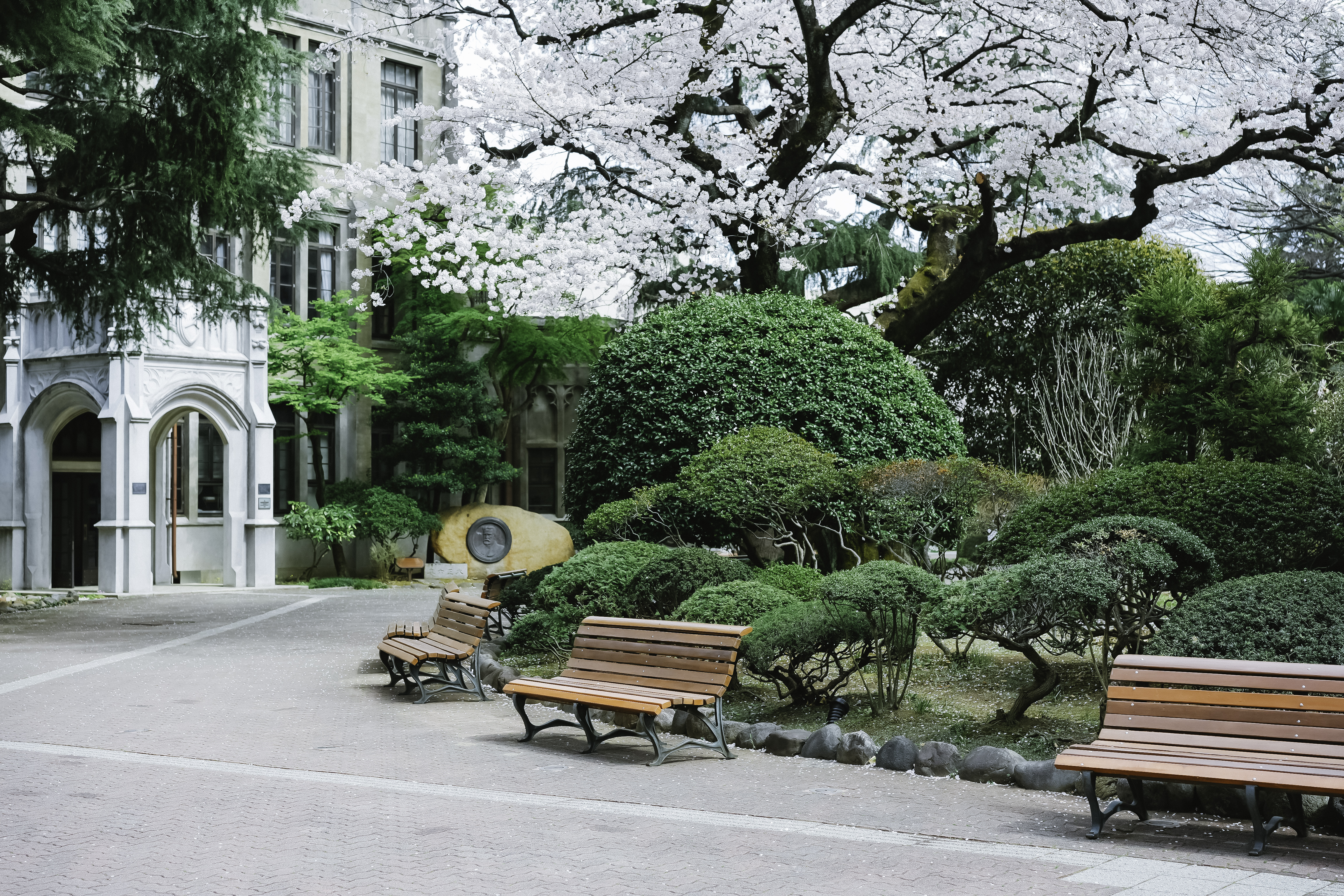 青山学院大学リバーシブルナンバリング上下セット 青山学院大学が渋谷発アパレルブランドと「コラボカレッジパーカー」を
