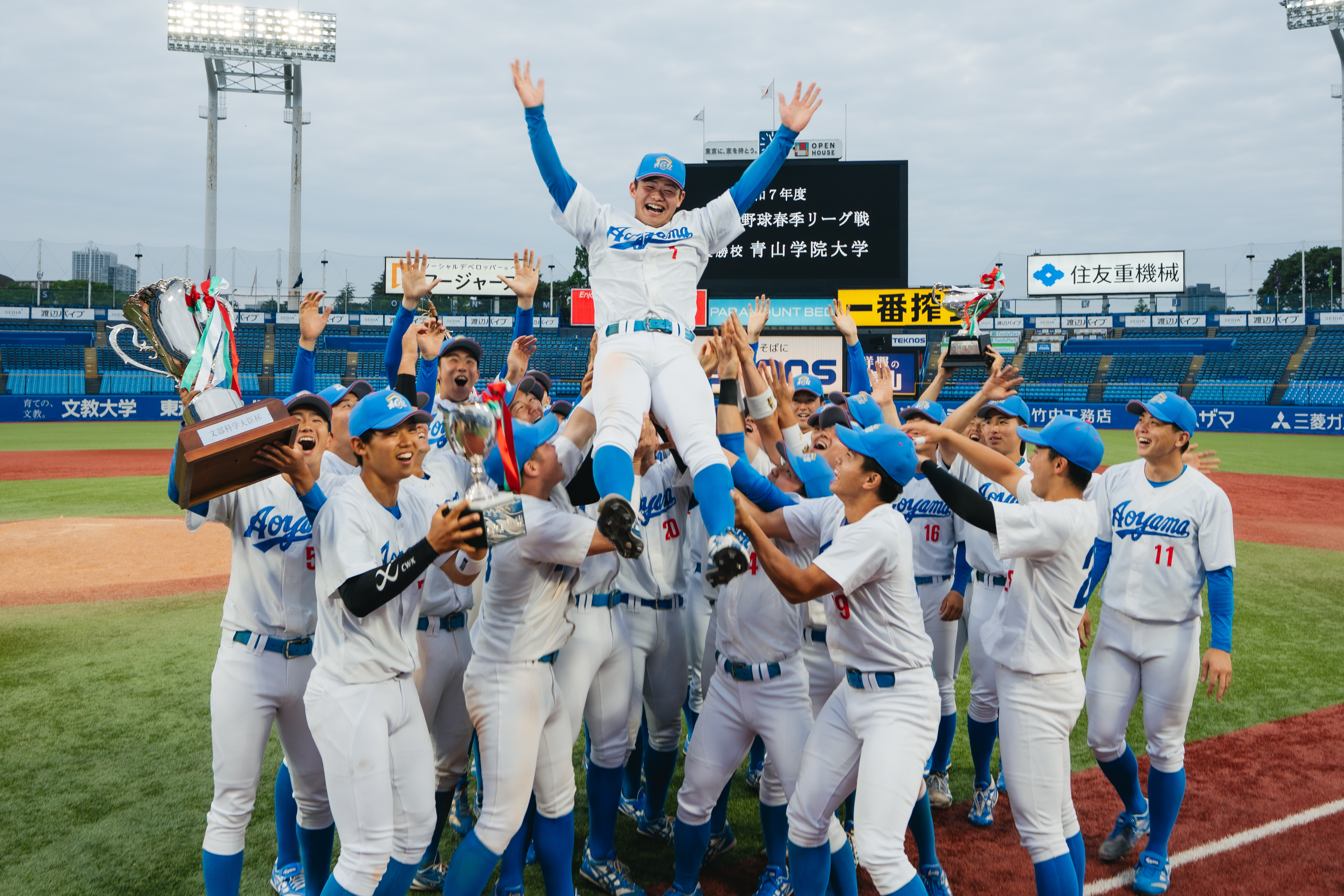 山百合11球 山百合11球